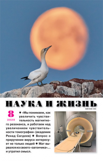 «Наука и жизнь» в августе