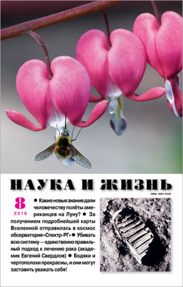 «Наука и жизнь» вспоминает полет человека на Луну
