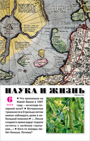 «Наука и жизнь» в июне