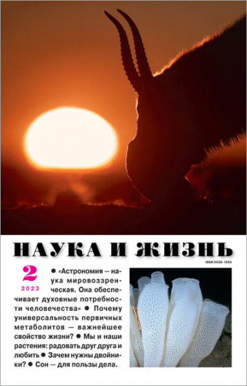 «Наука и жизнь» в феврале