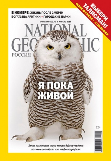 Один журнал — четыре обложки!