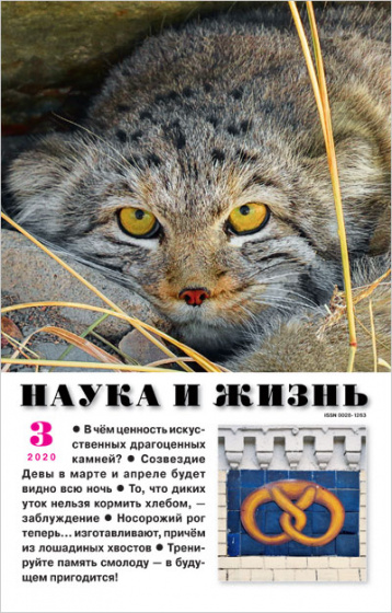 «Наука и жизнь» в марте