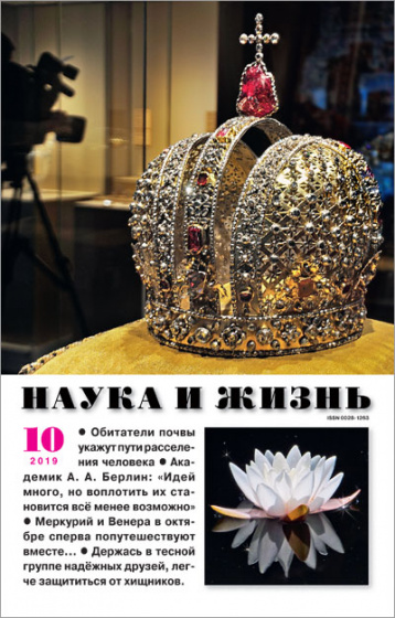 «Наука и жизнь» в октябре