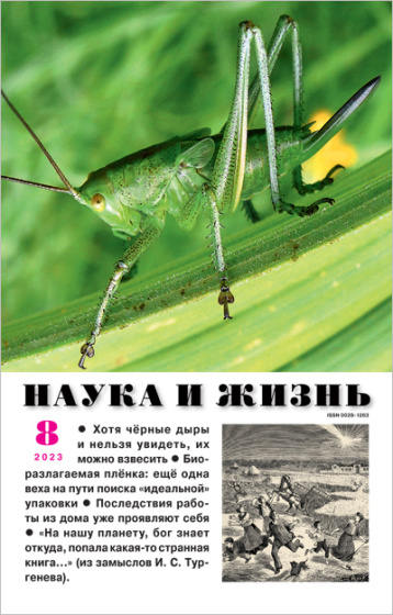«Наука и жизнь»  чёрные дыры, кочедыжник с голокучником и книгофильмы