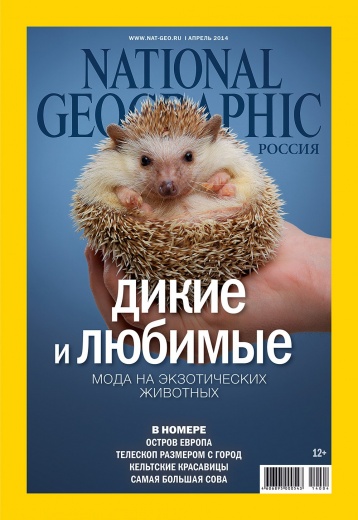 Фотовыставка «125 лет National Geographic»