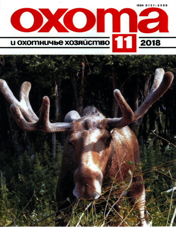 «Охота и охотничье хозяйство» в ноябре