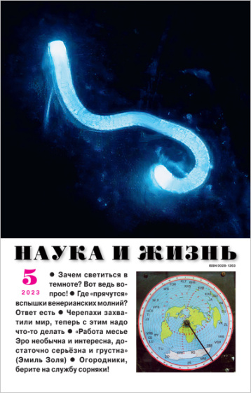 «Наука и жизнь» про одуванчики