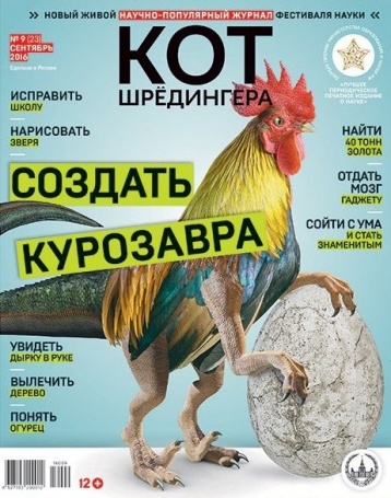 Сентябрьский «Кот»
