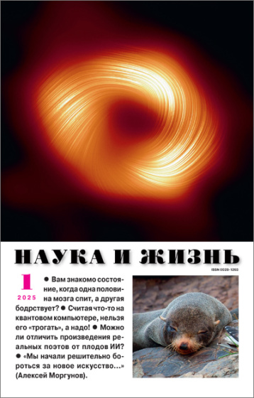 «Наука и жизнь» подводит итоги года