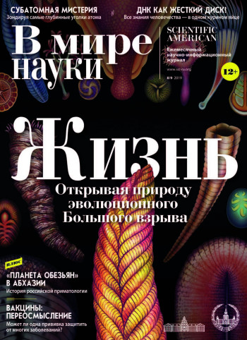 Открывая природу Большого Взрыва