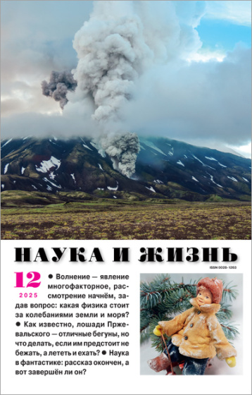 «Наука и жизнь» в декабре