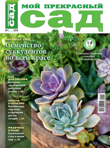 Сезонные работы в саду