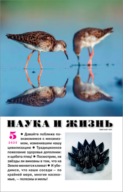 Наука и жизнь