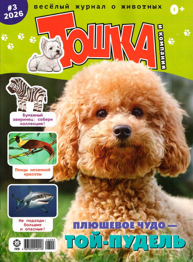 Тошка