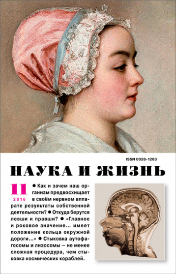 «Наука и жизнь» в ноябре
