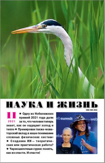 «Наука и жизнь» в ноябре про секрет теплых объятий