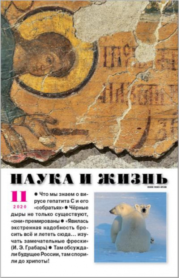 «Наука и жизнь» в ноябре