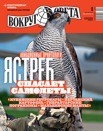 «Вокруг света» в августе