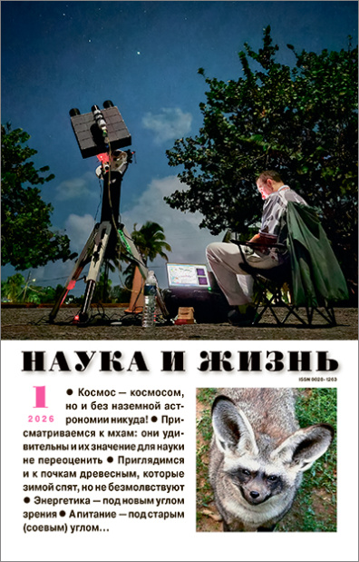 Наука и жизнь