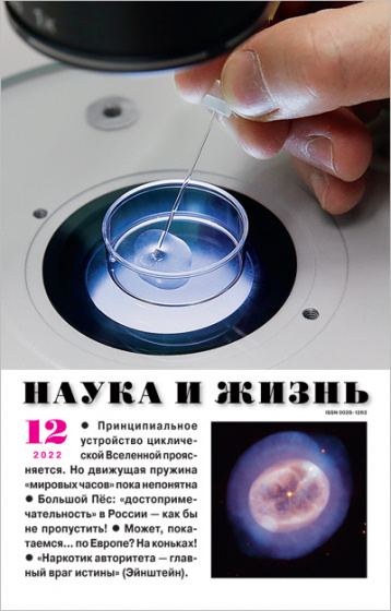 «Наука и жизнь» в декабре