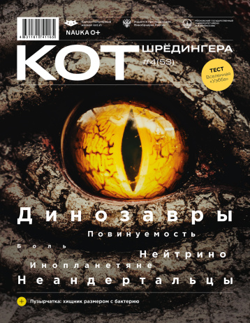 «Кот Шрёдингера» как средство для путешествий