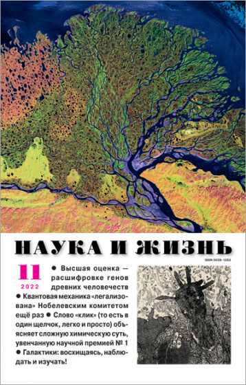 «Наука и жизнь» в ноябре