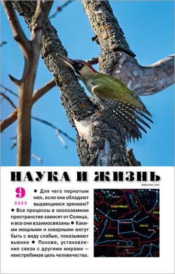 «Наука и жизнь» выпустила птичий номер