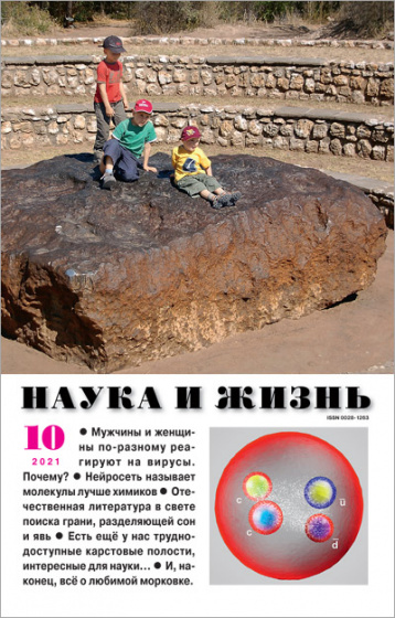«Наука и жизнь» в октябре