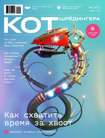 Новый «Кот Шредингера»