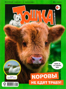 Тошка