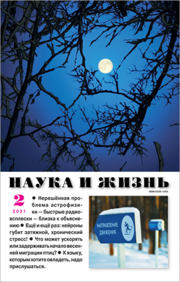 «Наука и жизнь» в феврале