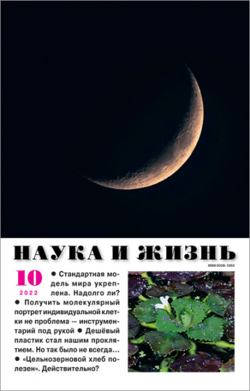 Октябрьский номер «Наука и жизнь» представляет