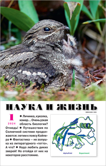 «Наука и жизнь» в январе